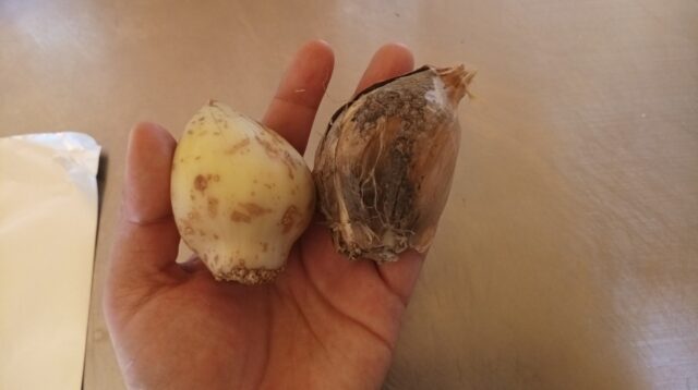 92a2ba64-0b83-4c14-a8dd-527daf7fda3c