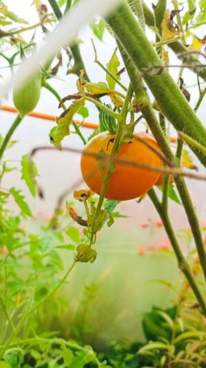 9c326c4d-8ade-4413-9c31-f56f4bd28860