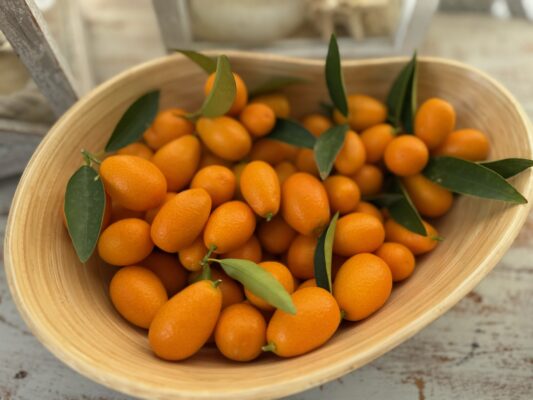 FEF04C87-398C-43DB-8F57-53BBACCDF409