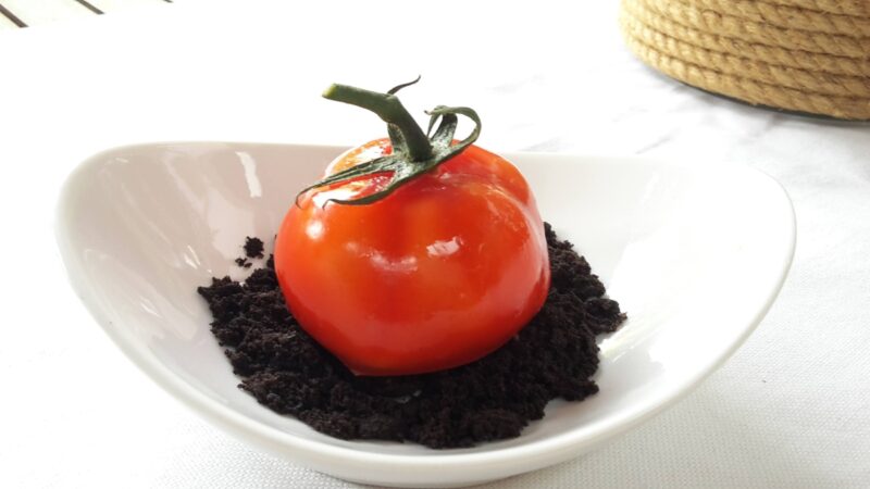 Mercedes Minaya trampantojo 1