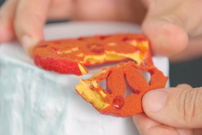 Rodaja de tomate seco