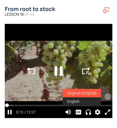 Screenshot_2025-02-03-13-17-36-816_com.android.chrome-edit