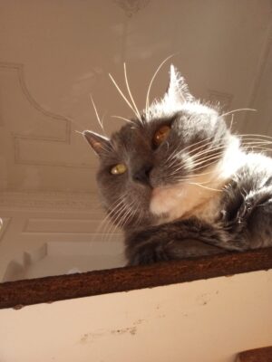 WhatsApp Image 2023-11-15 at 10.06.05