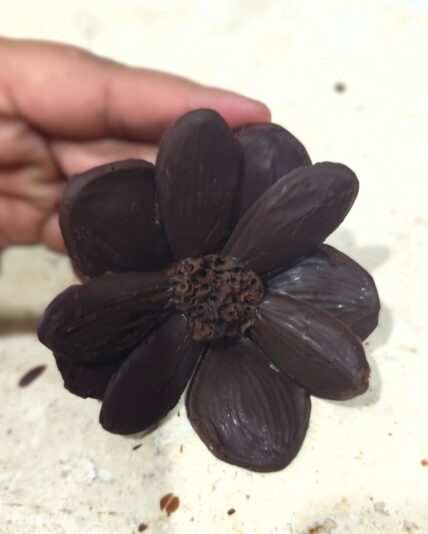 WhatsApp Image 2025-02-26 at 9.12.06 PM (1)