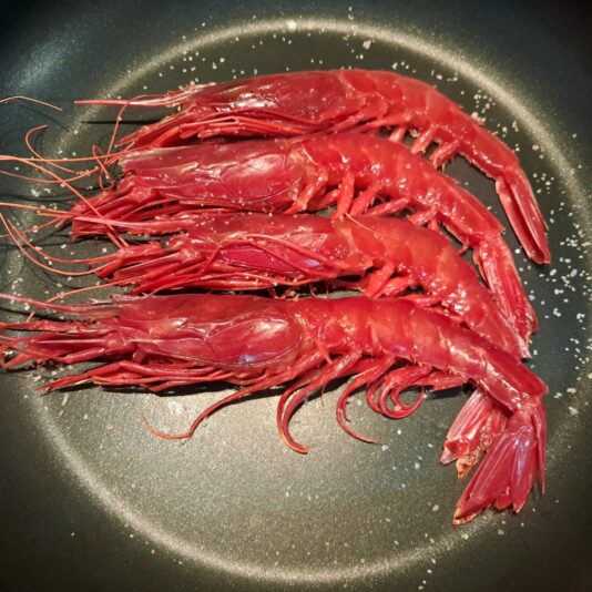 b3bbfe89-fb38-4d6b-a347-aa6ab6c485b4