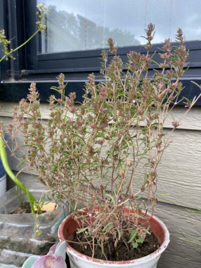 b7dd9776-15be-4226-8e18-1fad75224a01