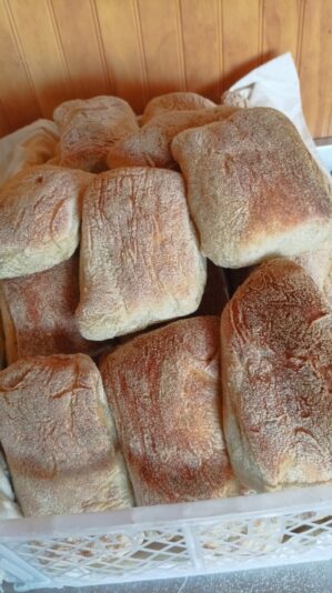 c88fd9f6-2e6a-4a04-8b8a-ec4964c5c8eb