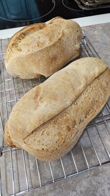 d1f43441-640d-409a-8c67-aaea4e38bd9b