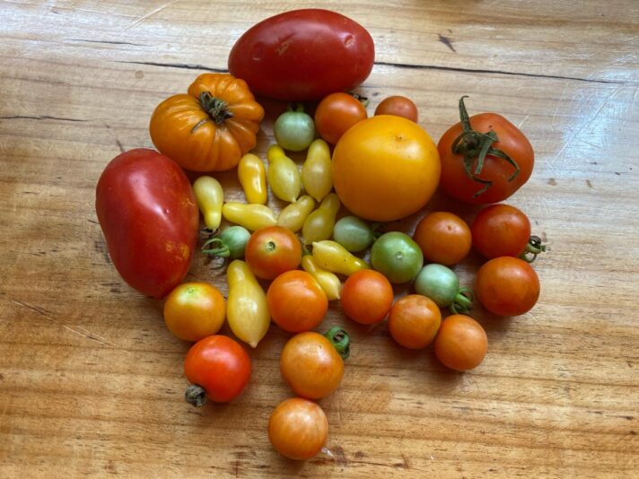 ee899d5b-965d-462f-950f-e1b18b19b1d8