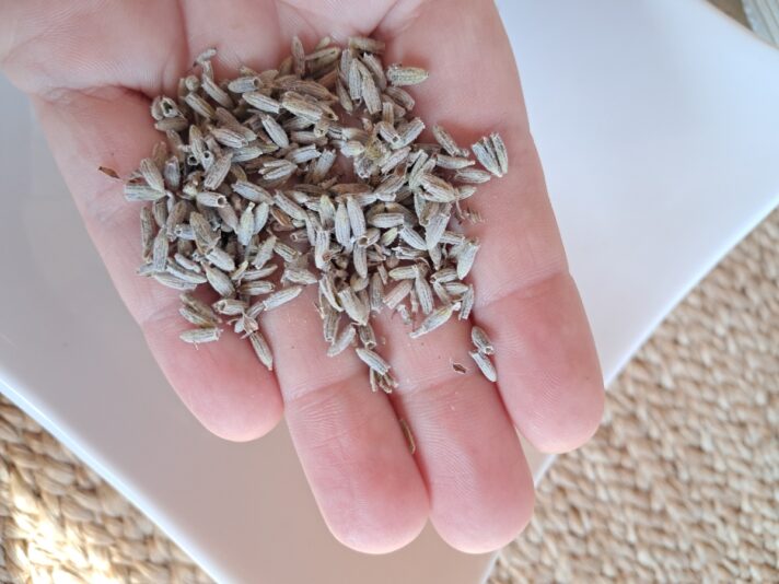 f3b32311-6dbd-4776-b29e-e371140c92c3