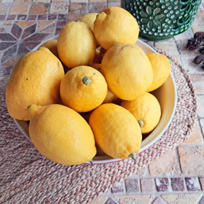 limones-beatriz-torija
