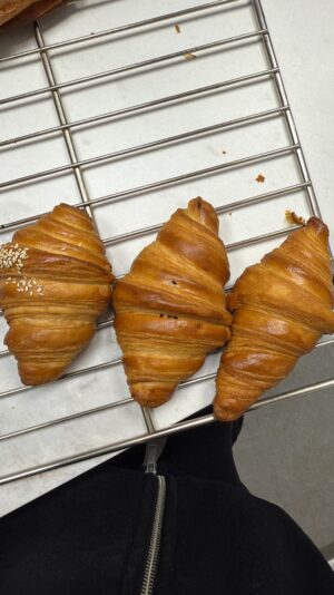 1702DD15-DE76-4988-B2C8-4DE2045F3F6E