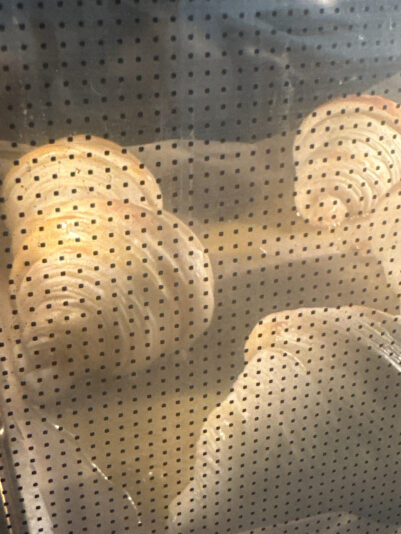 20DE9B58-0F5B-4B27-B74B-E4A036FBA4BA