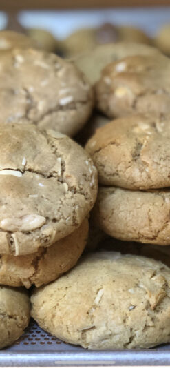 4081AD67-210F-439C-9178-AA8BA6477A4B