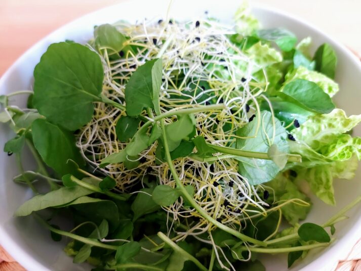 4259c808-7256-4338-8e3e-bfc15363930d