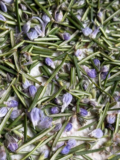 42789E9C-F9CE-4FAA-9C22-90F0EFC86328