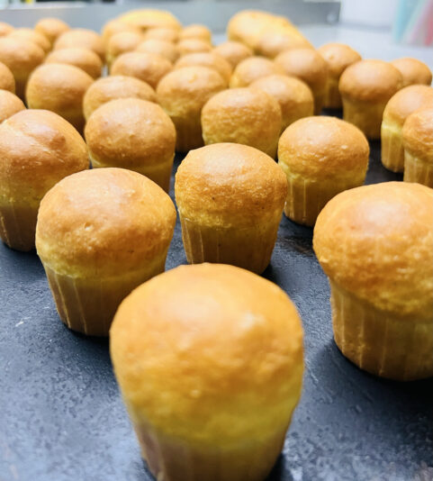 44034301-A87A-475A-9078-22B3C4052CBA