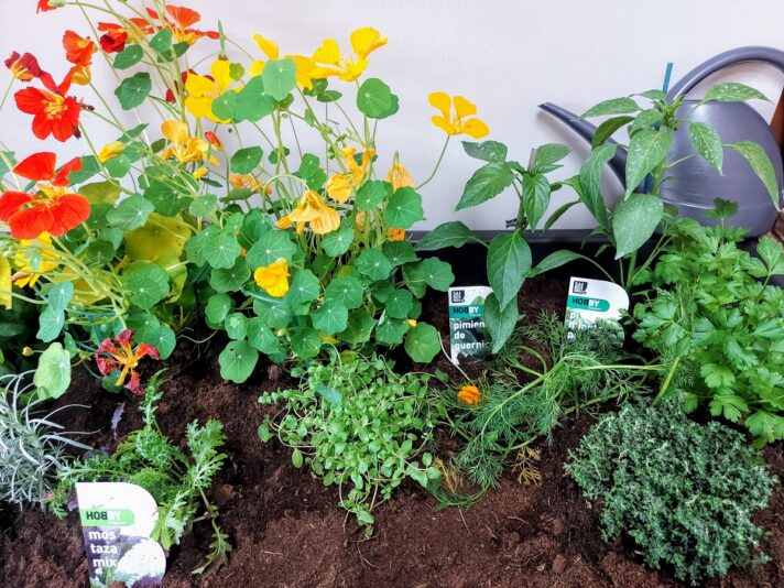 5095953b-d3cc-4b7c-85b3-a80f7ff74c23