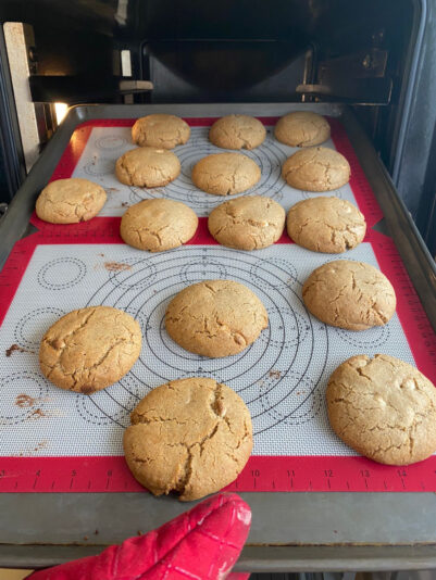 5C3B887A-E94F-44FD-8C52-0BD0AC12DE1D