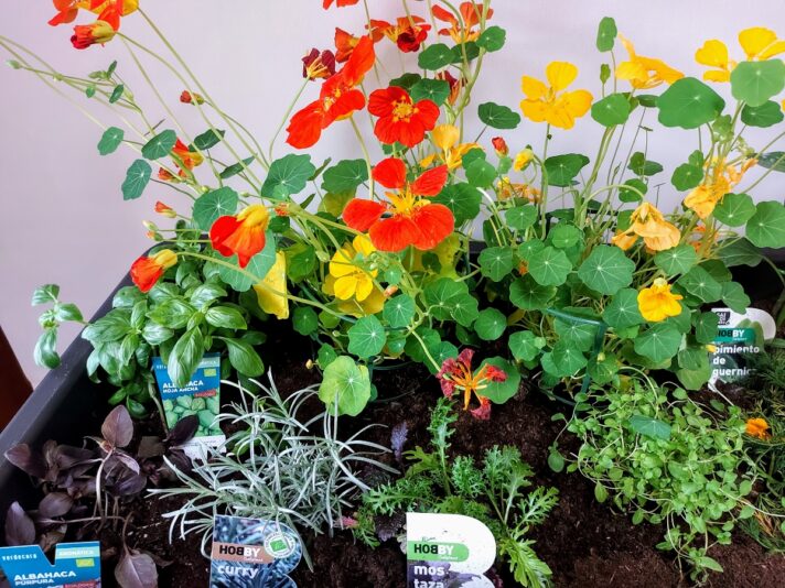 5c119fc0-7910-49b7-8c62-d104f05088a4