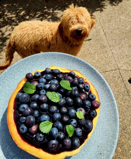 698baf33-feac-41de-b82d-66e0c9b2f4a3