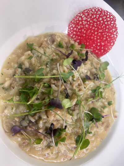 A8E8D58B-1F4E-44DA-BFC1-BD9E8C1C3A6D