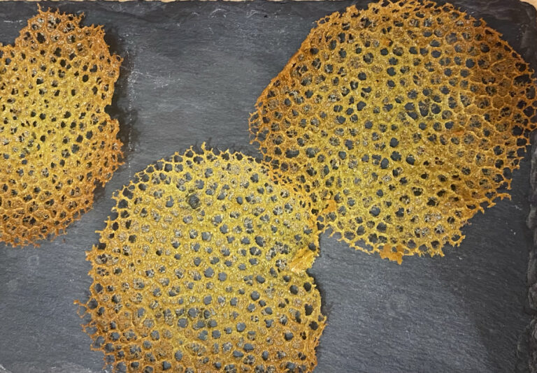 FBD5E7D9-426A-4041-8CE6-239964609B64