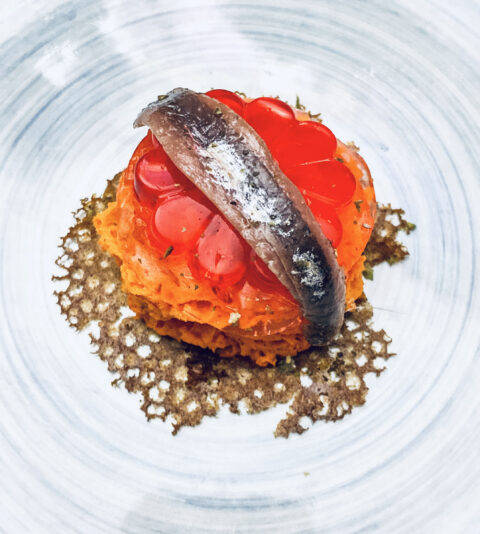 FC4D3686-725D-44CD-8062-29F22C1C8A82