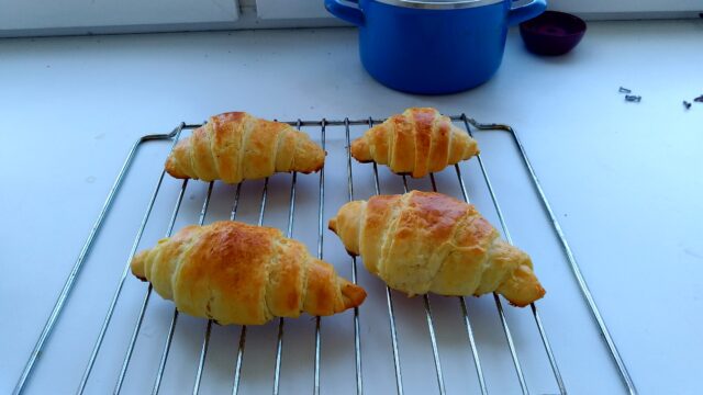 P_20250304_115851_vHDR_Auto