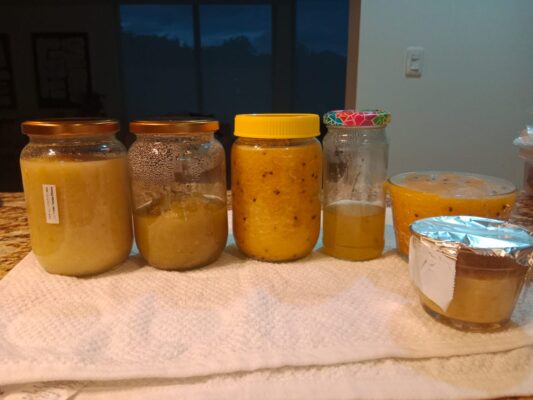 WhatsApp Image 2025-03-17 at 7.45.08 AM