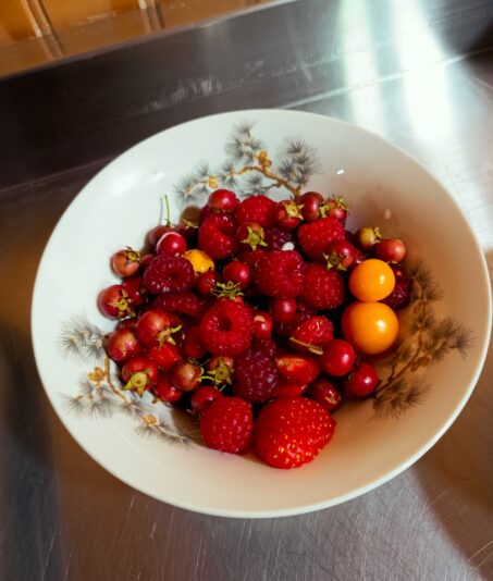 ae904a4d-e33c-4497-8574-f5a53c43dda1