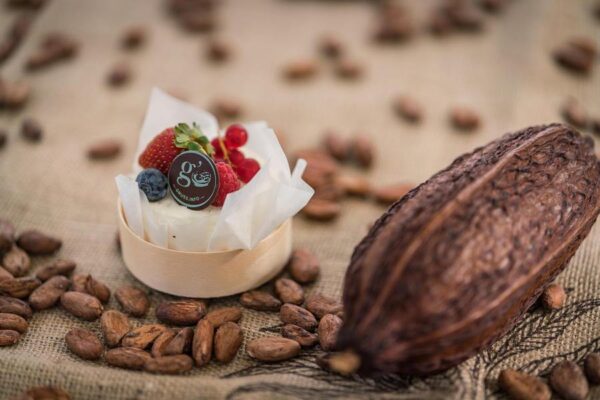 cheesecake_fernsichtmarkt