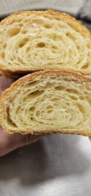 d9d66cb7-0447-4c31-8415-8a19257ee761