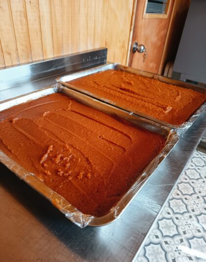 e6e699de-8a83-422a-9897-6cdd329dfad4