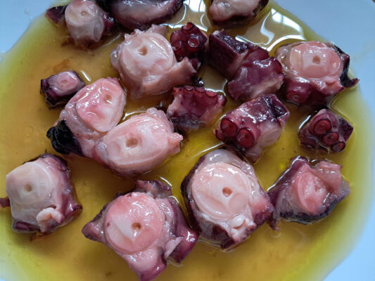 pulpo beatriz torija