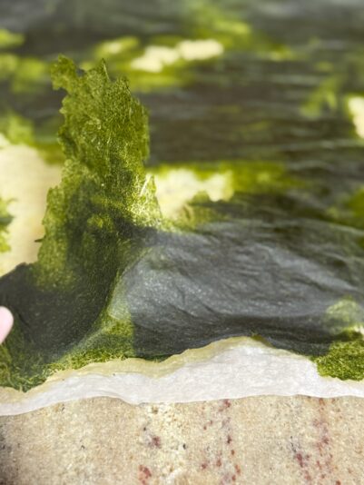 14D4C5CF-5AAD-4C1A-80F4-6F73F8CE694F