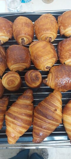 14bc8db0-bc1a-4095-8150-00b69cae9648