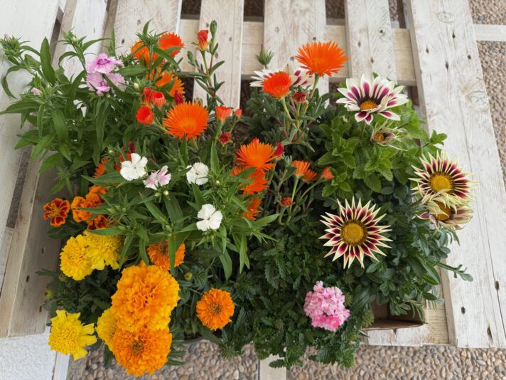 163E2ED7-2933-4797-B202-086829859CBA