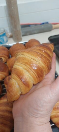 4ddbcf12-31ef-4bc8-81d6-0b4423c42c5a