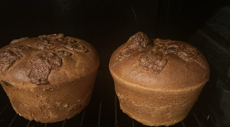 5940A049-AA27-486F-97EC-8C5A6B41AB46