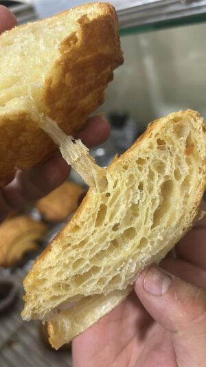 6B331B44-6B5B-4481-9AE0-6F2088B25B63