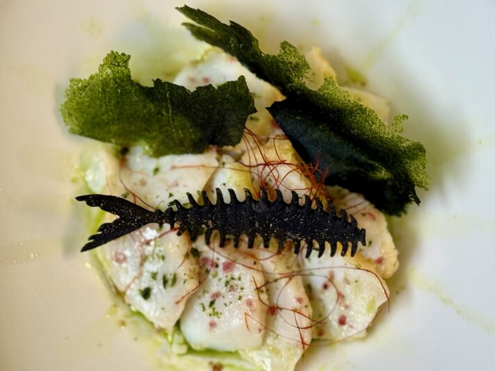 81053BA6-ECBC-484D-B26F-B16AB9539423