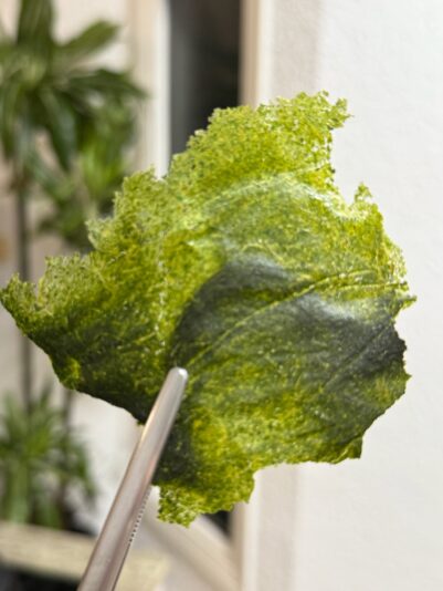 8A8DCFDD-28B5-4CC8-9C9B-4C27AA86C259