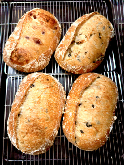 AEF976D2-0632-4FCE-B332-E05FE0131980