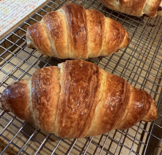 B22787C9-2FC2-4D94-8061-462FE5F8BA2F