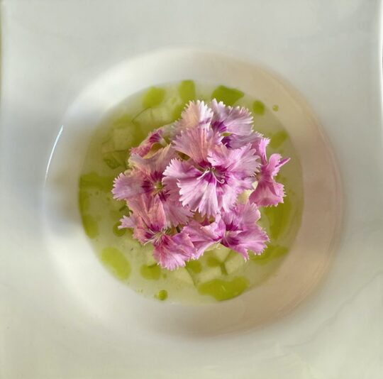 BD00BA40-70B6-4B11-9688-076D30101907