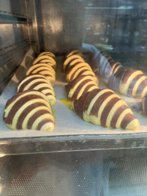 DAB041A9-AEC1-4520-A025-E4EC61BFFCC0