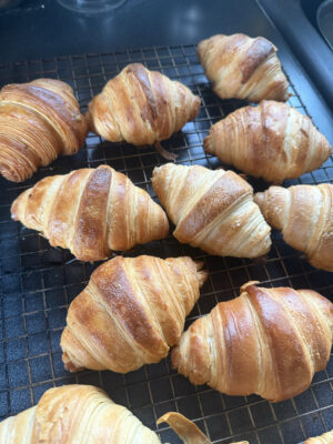 FE9F7734-AD97-435D-8C1D-38CE64E65599