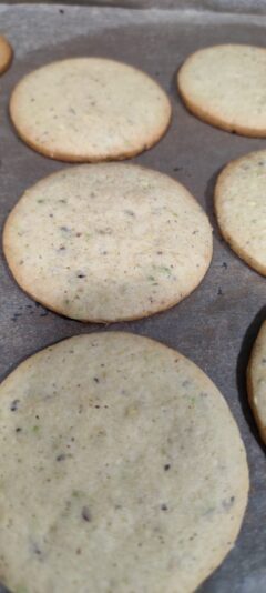 WhatsApp Image 2025-04-11 at 10.32.33-4