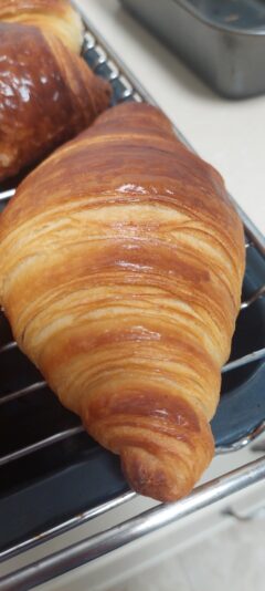 a5d386ac-2e7a-470f-9b24-596d30b16711